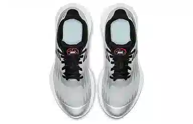 Nike SD Silver Grey Black