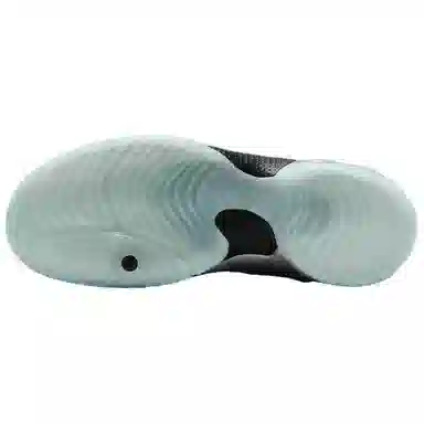 Nike Flightposite Clogposite Silver Black