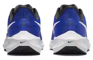 Nike Air Zoom Pegasus 39 Blue