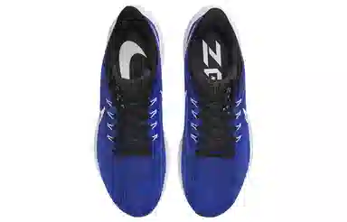 Nike Air Zoom Pegasus 39 Blue