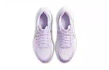 Nike Air Zoom Pegasus 39 GS Purple