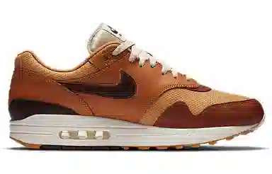 Nike Air Max 1 SNKRS Day