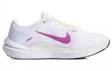 Nike Air Winflo 10 White Purple