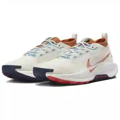 Nike Pegasus Trail 5 GORE-TEX