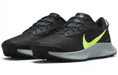 Nike Pegasus Trail 3