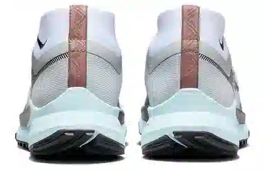 Nike Pegasus Trail 4