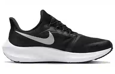 Nike Pegasus FlyEase