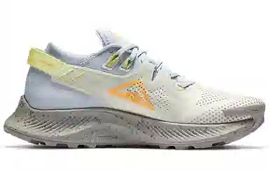 Nike Pegasus Trail 2