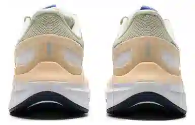 Nike Zoom Structure 25 Beige Blue