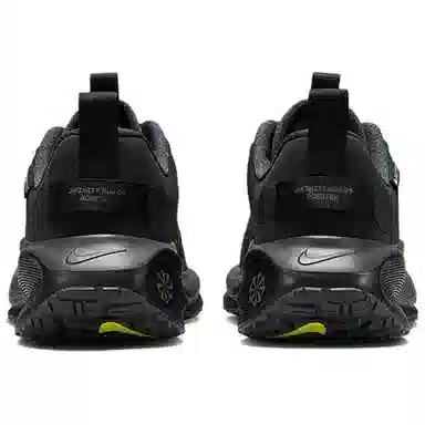Nike Infinity Run 4 GTX Black