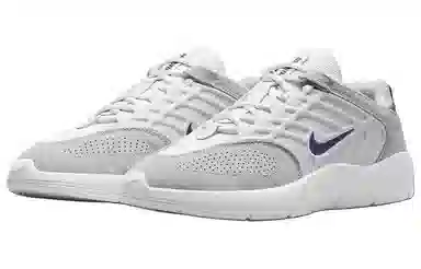 Nike SB Vertebrae White Grey