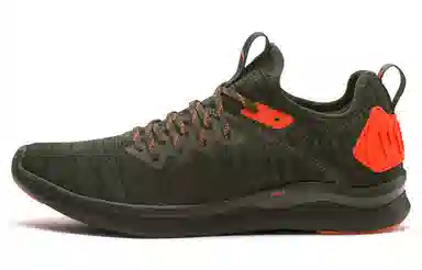 Puma Ignite Flash EvoKnit Unrest