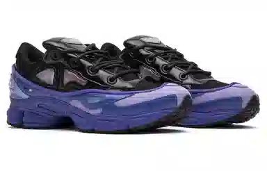 RAF SIMONS x adidas Ozweego Purple