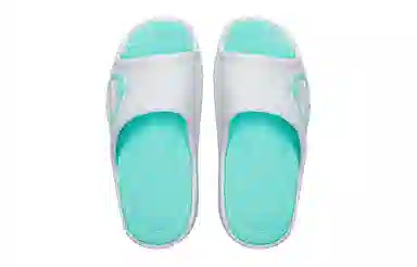 RIGORER Tianji 1 White Green