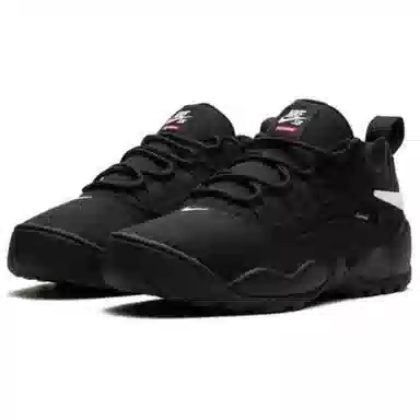 Supreme x Nike SB Darwin Low