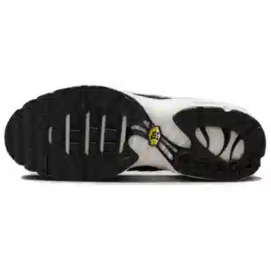 Nike Air Max Plus White Black