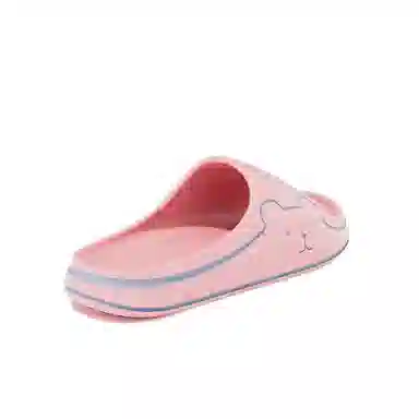 TZLDN Classic Slides