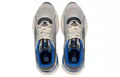 PUMA RS-2K Internet Exploring