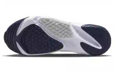 Nike Zoom 2K Light Grey