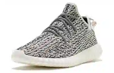adidas Yeezy Boost 350 "Turtle Dove"