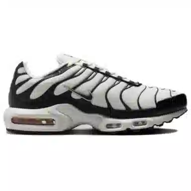 Nike Air Max Plus White Black