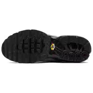 Nike Air Max Plus Silver Grey Black