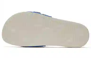 Puma Leadcat Ftr Wilo Denim Blue