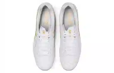 Asics Ds Light X-Fly Pro White Gold