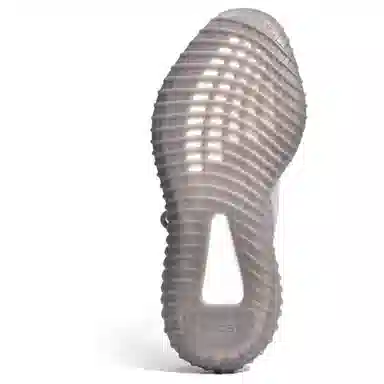 adidas Yeezy Boost 350 V2