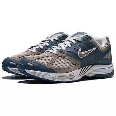 Nike Air Pegasus 2005
