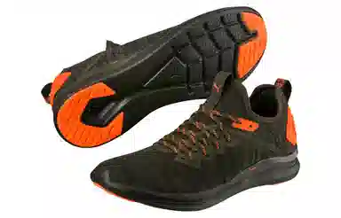 Puma Ignite Flash EvoKnit Unrest