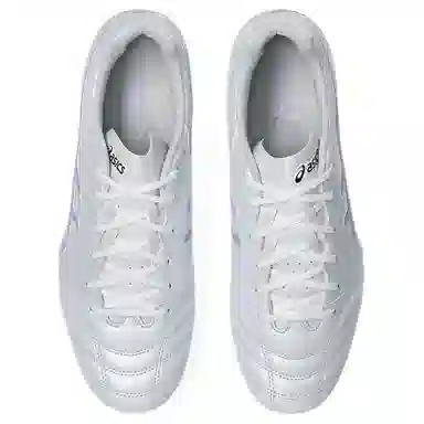 Asics DS LIGHT PRO AG