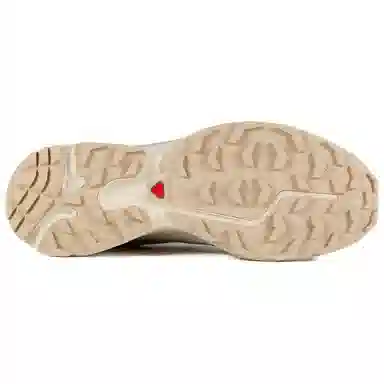 Salomon XT-6 GTX Brown