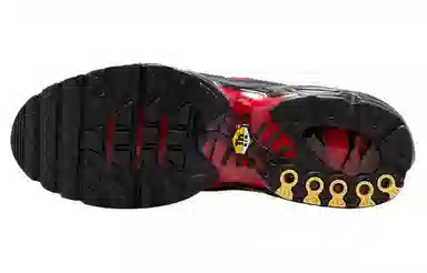 Nike Air Max Plus Black