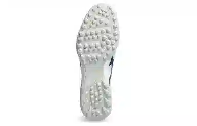 Asics Ds Light Club TF