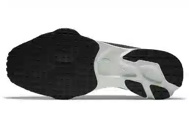 Nike Air Zoom Type "Pigeon Grey"