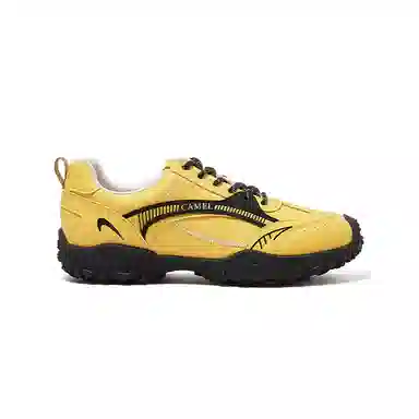 Camel Biscuit Trainer