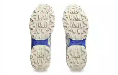 Asics GEL TERRAIN White Blue