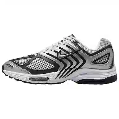 Nike Air Pegasus 2005 Silver