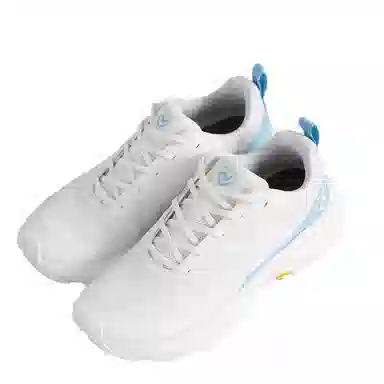 NORTHLAND PROFESSIONAL 50