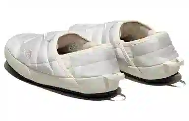 KAWS x The North Face