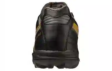 Mizuno Pro 2 TF Black Gold