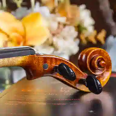 SCOTT CAO STV-600 44-14