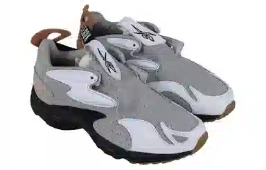 Reebok Daytona DMX Experiment