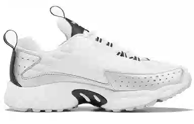 Reebok DMX Series 2K White