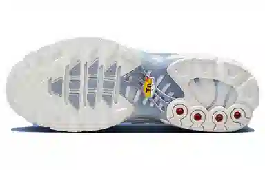 Nike Air Max Plus White Purple