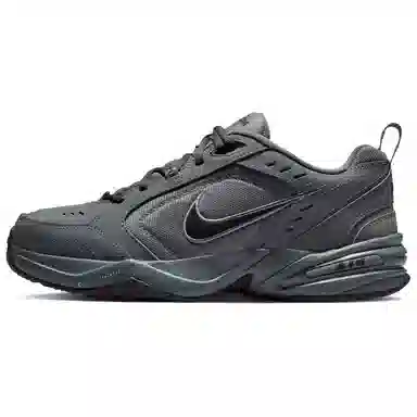 Nike Air Monarch 4 Grey