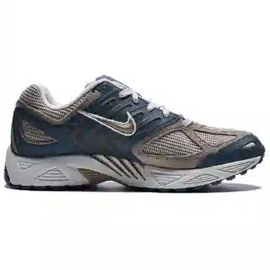 Nike Air Pegasus 2005