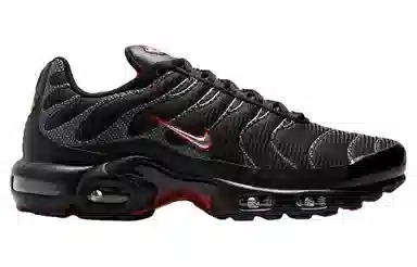 Nike Air Max Plus Black
