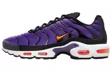 Nike Air Max Plus Purple Black